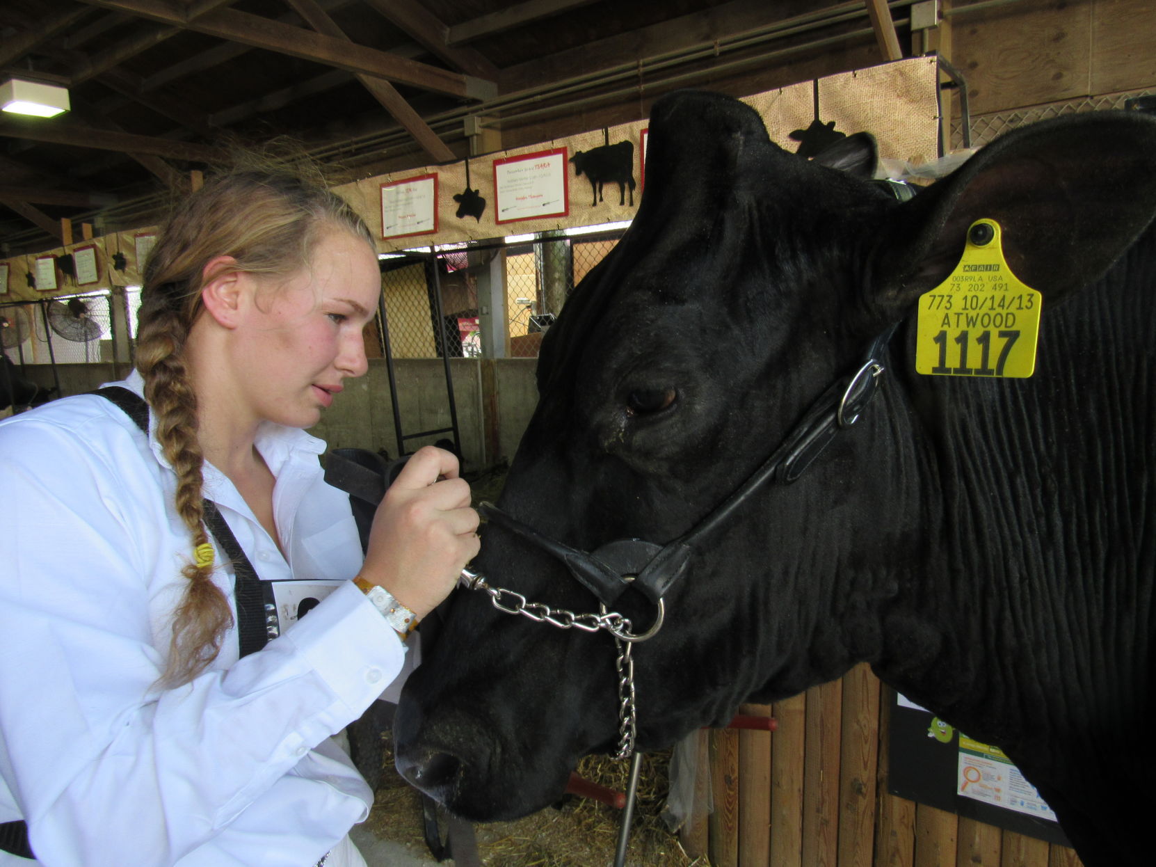 Wisconsin State Fair